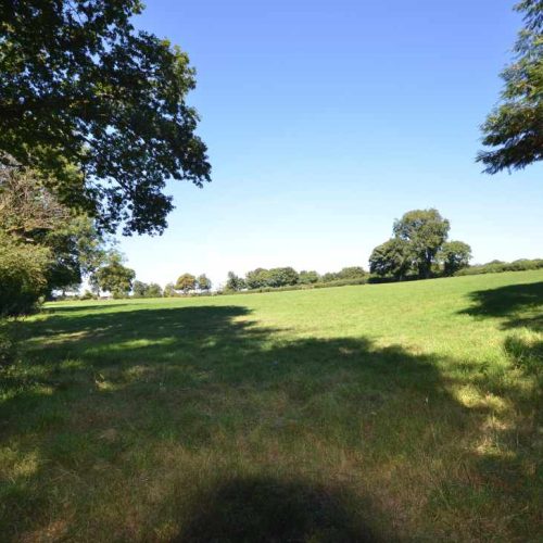 Development opportunity for sale in Tavistock, Devon - Smallholding, Development Opportunity or Simply a ‘Home with Income’