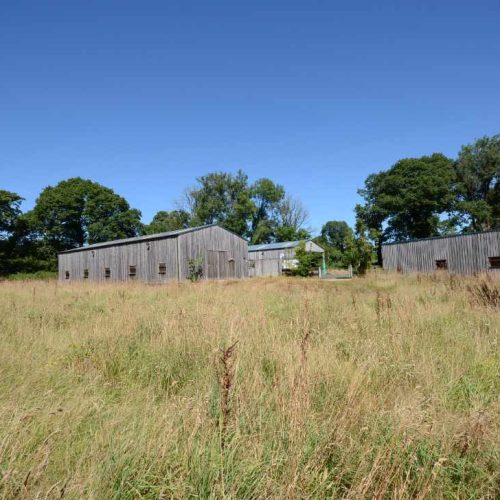 Development opportunity for sale in Tavistock, Devon - Smallholding, Development Opportunity or Simply a ‘Home with Income’