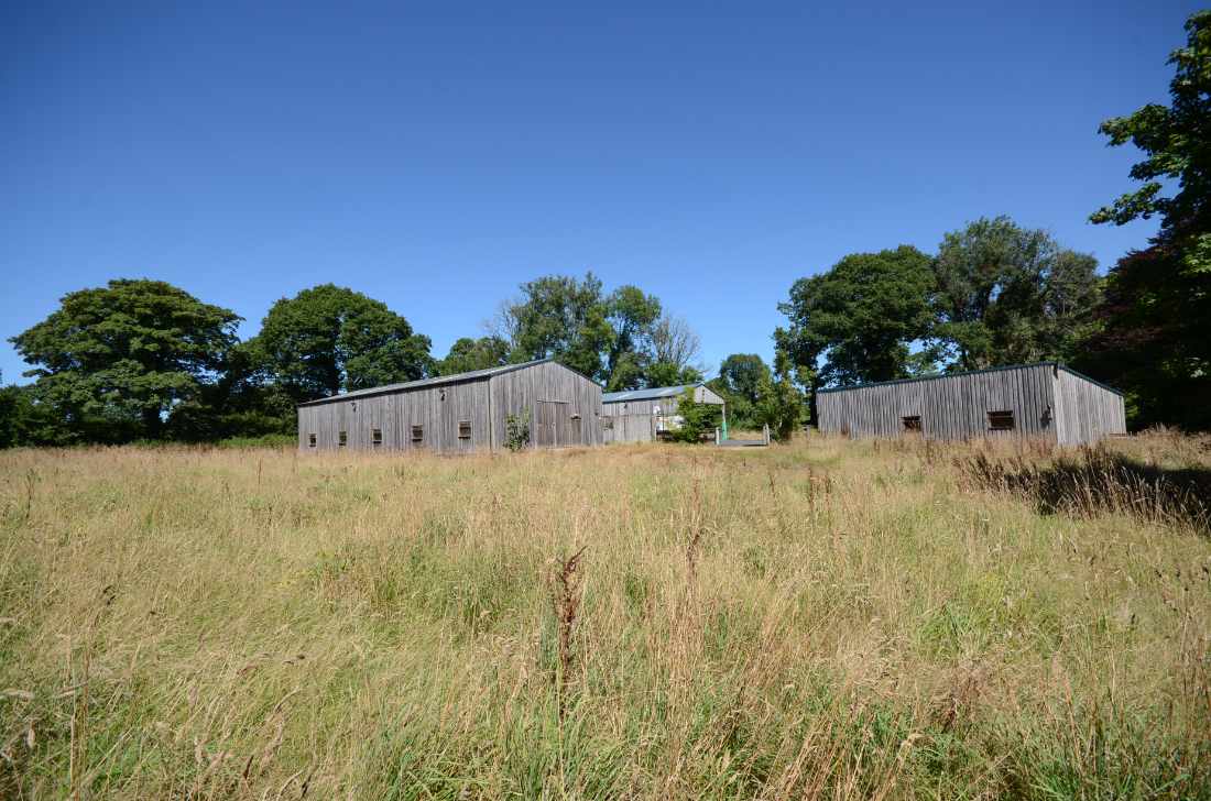 Development opportunity for sale in Tavistock, Devon - Smallholding, Development Opportunity or Simply a ‘Home with Income’