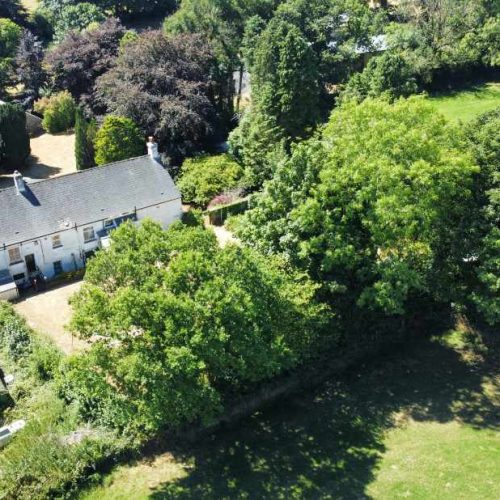Development opportunity for sale in Tavistock, Devon - Smallholding, Development Opportunity or Simply a ‘Home with Income’