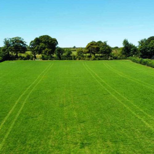 Development opportunity for sale in Tavistock, Devon - Smallholding, Development Opportunity or Simply a ‘Home with Income’