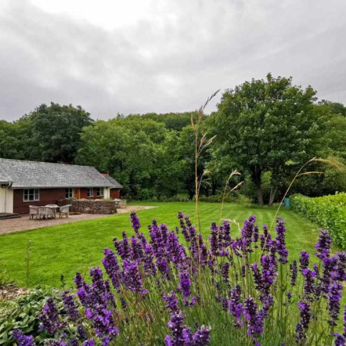 Hotel for sale in St Agnes, Cornwall - A Stunning 22 Bedroom Hotel Complex for sale