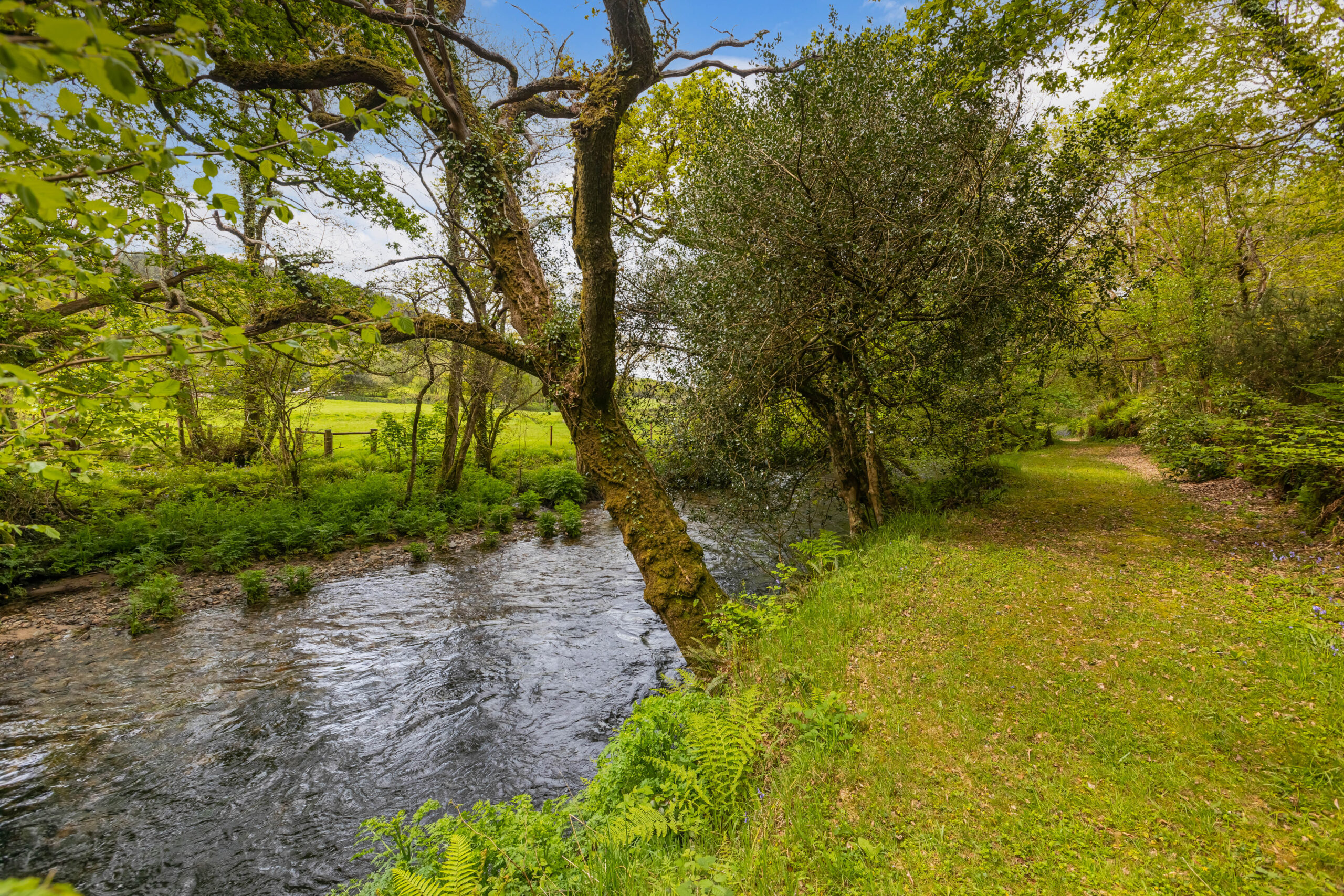 An Idyllic Holiday Cottage Complex, set in stunning Grounds