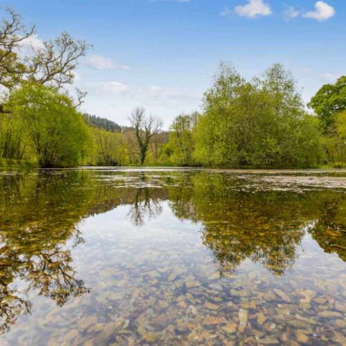 An Idyllic Holiday Cottage Complex, set in stunning Grounds