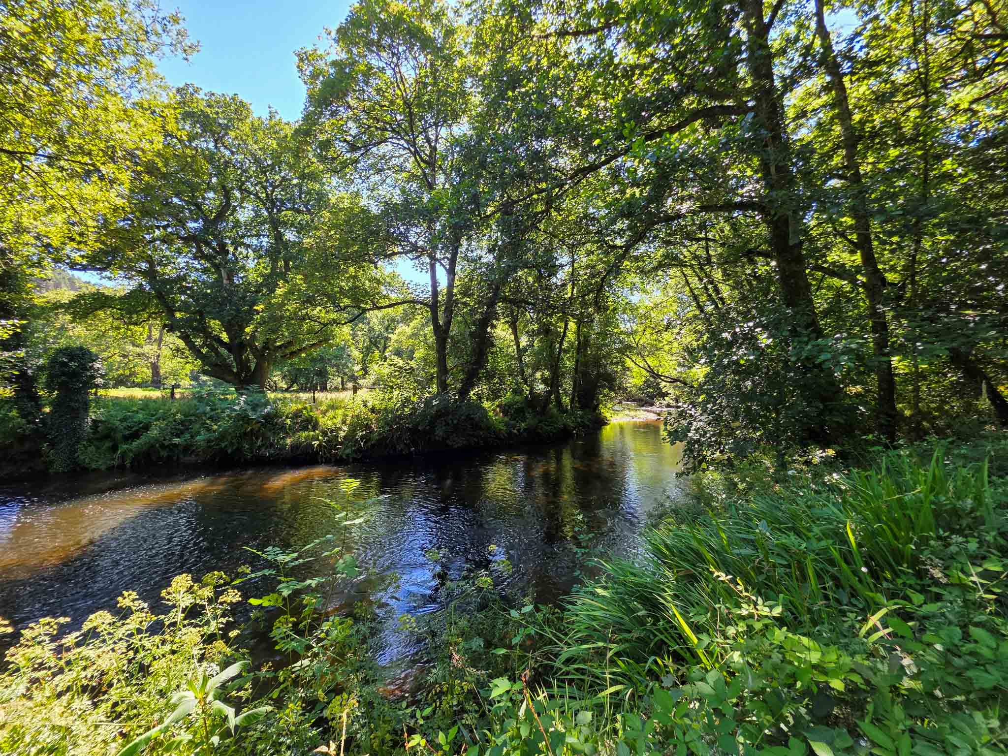 An Idyllic Holiday Cottage Complex, set in stunning Grounds