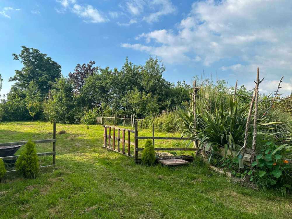 A Fantastic Business Alternative Opportunity, in the Devon Countryside