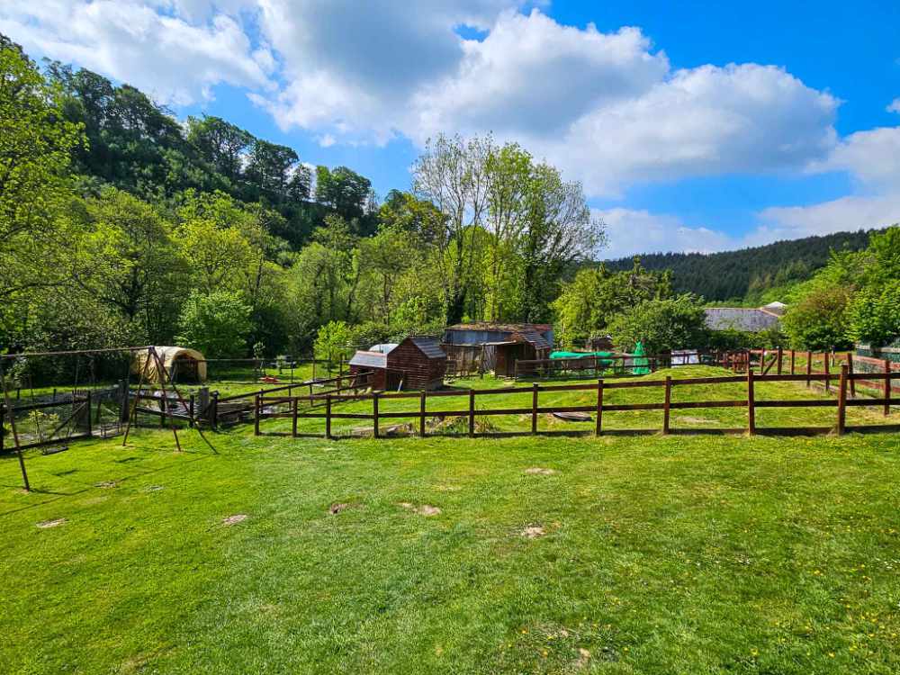 The Complete Complex with Development Potential