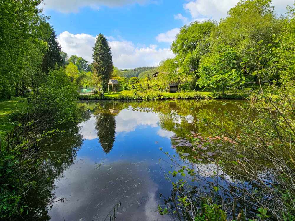 The Complete Complex with Development Potential