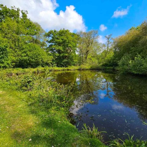 Development opportunity for sale in Looe, Cornwall - The Complete Complex with Development Potential