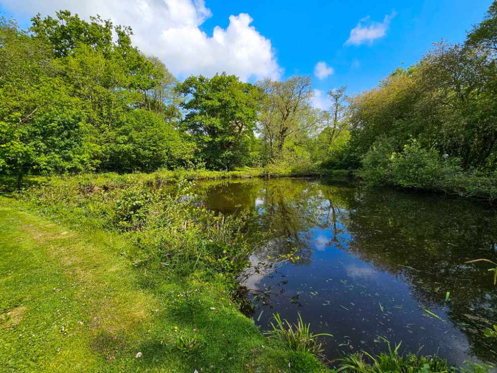 The Complete Complex with Development Potential