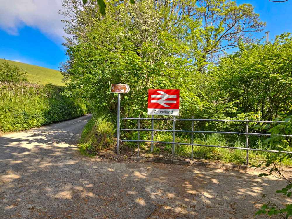 The Complete Complex with Development Potential