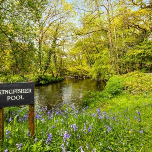 An Exceptional Country Home, Offering An Enviable Lifestyle