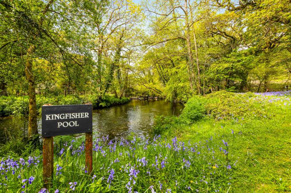 An Exceptional Country Home, Offering An Enviable Lifestyle