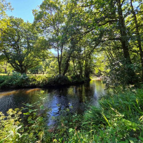 An Exceptional Country Home, Offering An Enviable Lifestyle